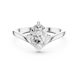 Ladies Ring DDLR-1055@7 - White Gold - Image