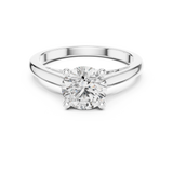 Ladies Ring DDLR-159@7 - White Gold - Image