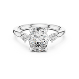 Ladies Ring DDLR-164@7 - White Gold - Image