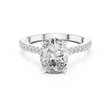 Ladies Ring DDLR-169@7 - White Gold - Image