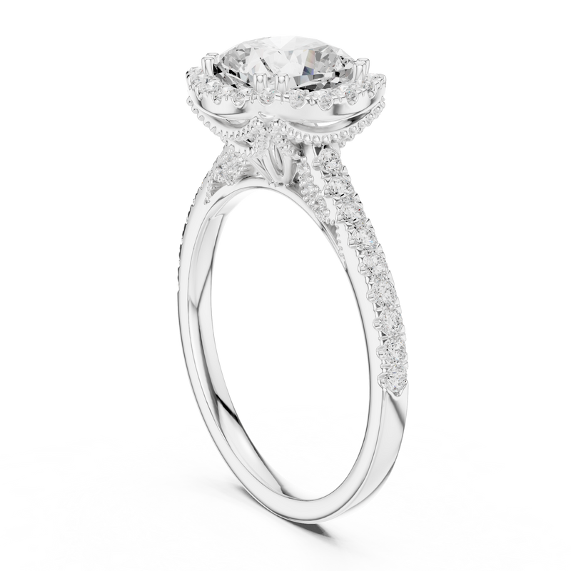 Ladies Ring DDLR-255@7 - White Gold - Image