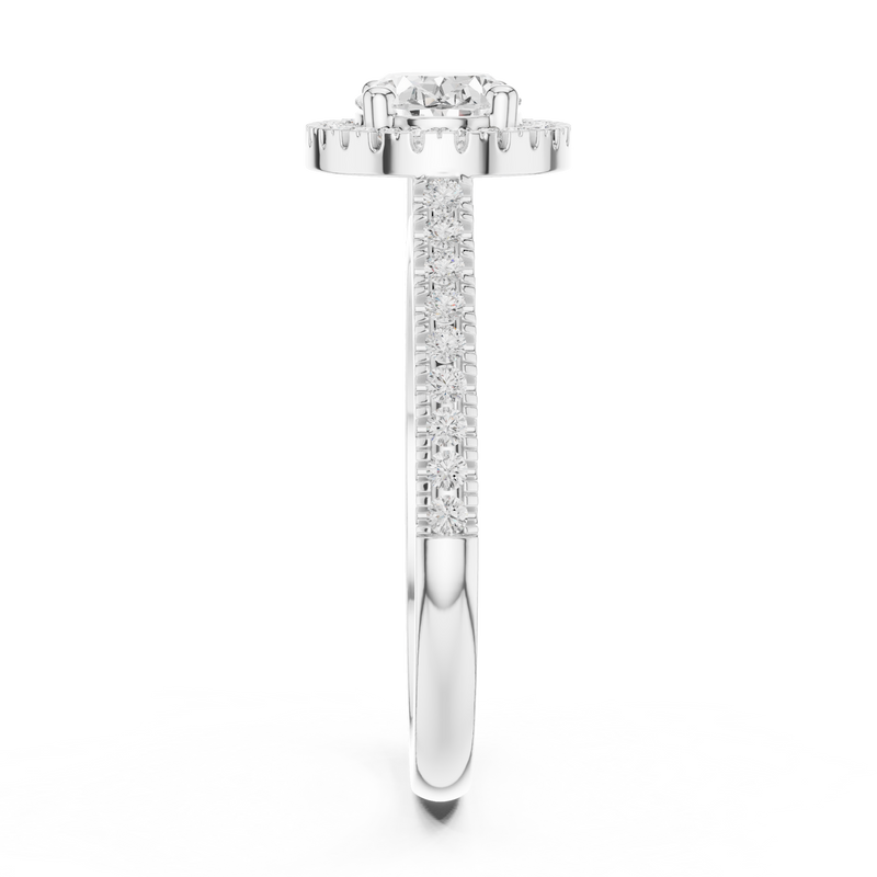 Ladies Ring DDLR-347@7 - White Gold - Image