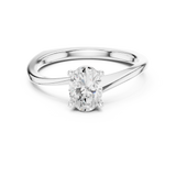 Ladies Ring DDLR-478@7 - White Gold - Image