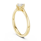Ladies Ring DDLR-548@7 - Yellow Gold - Image