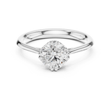 Ladies Ring DDLR-552@7 - White Gold - Image