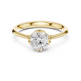 Ladies Ring DDLR-552@7 - Yellow Gold - Image