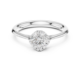 Ladies Ring DDLR-553@7 - White Gold - Image