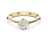 Ladies Ring DDLR-554@7 - Yellow Gold - Image