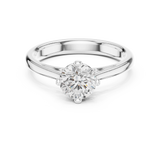 Ladies Ring DDLR-556@7 - White Gold - Image