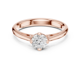 Ladies Ring DDLR-557@7 - Rose Gold - Image