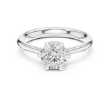 Ladies Ring DDLR-558@7 - White Gold - Image