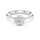Ladies Ring DDLR-559@7 - White Gold - Image