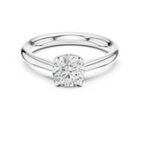 Ladies Ring DDLR-564@7 - White Gold - Image