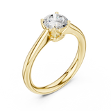Ladies Ring DDLR-564@7 - Yellow Gold - Image