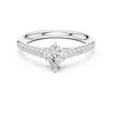 Ladies Ring DDLR-586@7 - White Gold - Image
