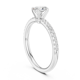 Ladies Ring DDLR-588@7 - White Gold - Image