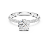 Ladies Ring DDLR-643@7 - White Gold - Image