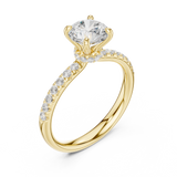 Ladies Ring DDLR-643@7 - Yellow Gold - Image