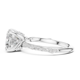 Ladies Ring DDLR-962@7 - White Gold - Image