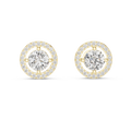 Earring ER-0008@7 - Yellow Gold - Image