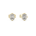 Earring GER-0365@7 - Yellow Gold - Image
