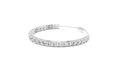 WG