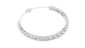 WG