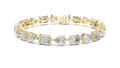 YG