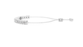 WG