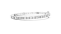 WG