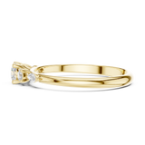 Ladies Ring HLR-89@7 - Yellow Gold - Image