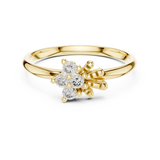 Ladies Ring LR-01 (91) - Yellow Gold - Image