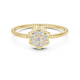 Ladies Ring LR-01 (97) - Yellow Gold - Image