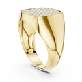 Mens Ring SBMR(1) - Yellow Gold - Image