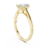 Ladies Ring SBWR(19)@7 - Yellow Gold - Image