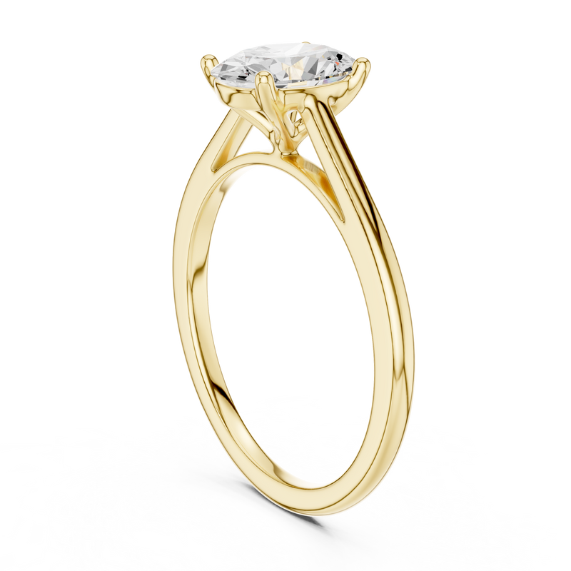 Ladies Ring SBWR(19)@7 - Yellow Gold - Image