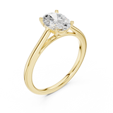 Ladies Ring SBWR(19)@7 - Yellow Gold - Image
