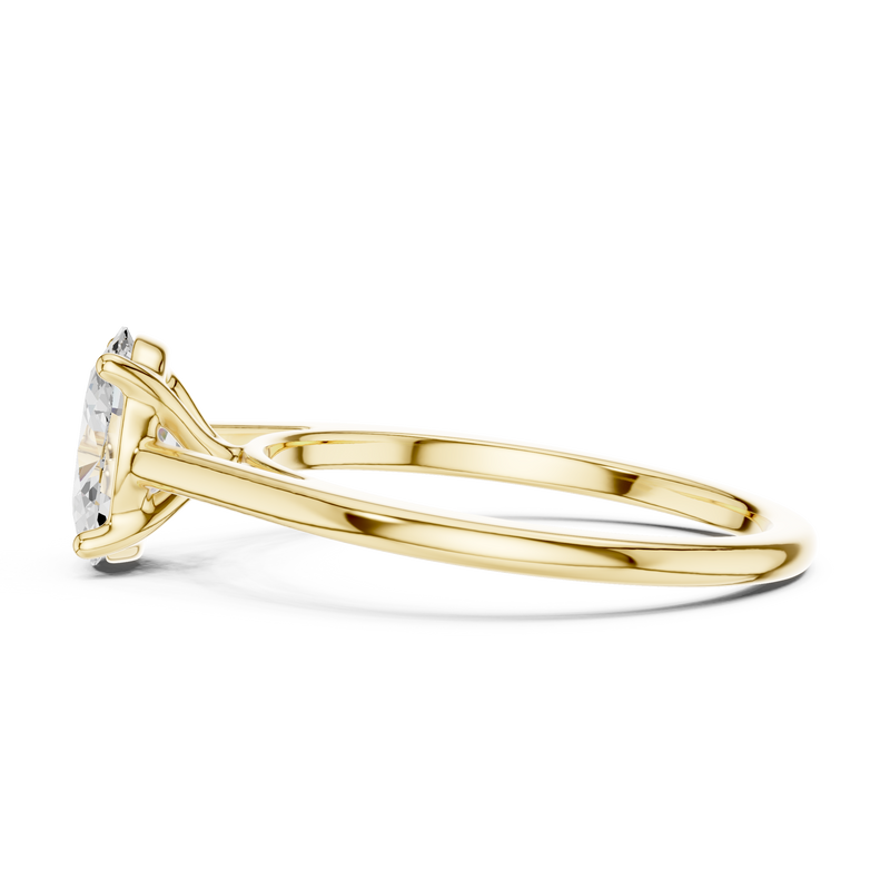 Ladies Ring SBWR(19)@7 - Yellow Gold - Image