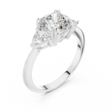 Ladies Ring SBWR(25)@7 - White Gold - Image