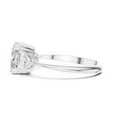 Ladies Ring SBWR(25)@7 - White Gold - Image