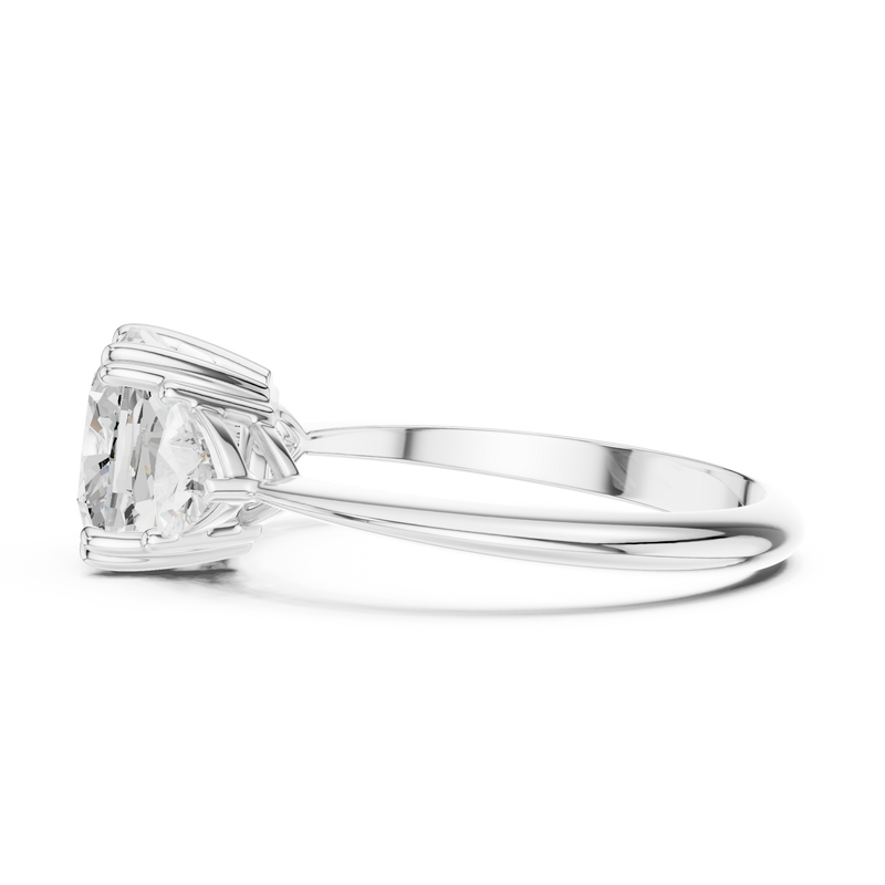 Ladies Ring SBWR(25)@7 - White Gold - Image