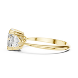 Ladies Ring SBWR(25)@7 - Yellow Gold - Image
